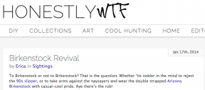 Style Du Monde on HonestlyWTF January 19 2014 Header